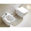 Kép 1/3 - Wellis Ditte fali WC RIMLESS