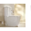 Kép 1/3 - Wellis Ditte monoblokkos WC