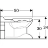 Kép 4/4 - Geberit Bambini mélyöblítésű gyermek álló WC ülőkepaddal, oroszlánlábas, achátszürke 212015000