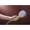 Kép 3/6 - Hansgrohe Raindance Alive Select S Kézizuhany 125, 3jet Polírozott Arany Hatású 24500990