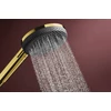 Kép 4/6 - Hansgrohe Raindance Alive Select S Kézizuhany 125, 3jet Polírozott Arany Hatású 24500990