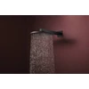 Kép 2/6 - Hansgrohe Raindance Alive S Fejzuhany 300, 1jet Matt Fekete 24520670
