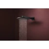 Kép 3/6 - Hansgrohe Raindance Alive S Fejzuhany 300, 1jet Matt Fekete 24520670
