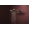 Kép 3/5 - Hansgrohe Raindance Alive S Fejzuhany 300, 1jet, zuhanykarral Polírozott Arany Hatású 24521990