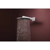 Kép 2/5 - Hansgrohe Raindance Alive S Fejzuhany 300, 2jet, zuhanykarral Matt Fehér 24540700