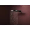 Kép 2/5 - Hansgrohe Raindance Alive S Fejzuhany 300, 2jet, EcoSmart, zuhanykarral Szálcsiszolt Fekete Króm 24541340