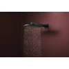 Kép 2/5 - Hansgrohe Raindance Alive S Fejzuhany 300, 2jet, EcoSmart, zuhanykarral Matt Fekete 24541670