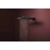 Kép 3/5 - Hansgrohe Raindance Alive S Fejzuhany 300, 2jet, EcoSmart, zuhanykarral Matt Fekete 24541670
