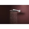 Kép 2/5 - Hansgrohe Raindance Alive S Fejzuhany 300, 2jet, EcoSmart, zuhanykarral Matt Fehér 24541700