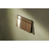 Kép 2/5 - Hansgrohe iFrame Element E Öblítőlap, dual mennyiség Szálcsiszolt Bronz 66003140