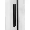 Kép 3/5 - SAPHO POLYSAN ALTIS LINE zuhanyajtó, 1300mm, matt fekete, transzparent üveg (AL4012B)