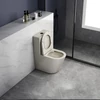 Kép 5/6 - SAPHO PACO RIMLESS monoblokkos WC, alsó/hátsó kifolyású, ülőke nélkül, duálgombos öblítőmechanikával, 38x61cm, elefántcsont (PC1012WRBE)
