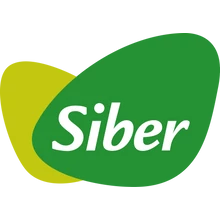 Siber Siber