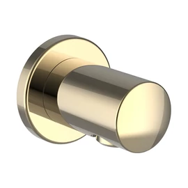 LAUFEN SHOWER ACCESSORIES Csatlakozó könyök, PVD fényes arany HF504776463000