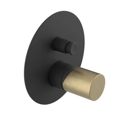 SAPHO ULTRATAP falbasüllyesztett csaptelep, 2-irányú, matt fekete/matt arany (UT042TBG) SAPHO ULTRATAP falbasüllyesztett csaptelep, 2-irányú, matt fekete/matt arany (UT042TBG)