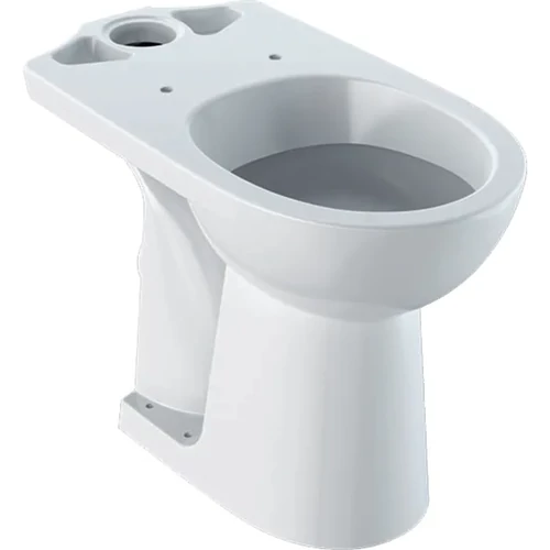 Geberit Selnova Comfort álló WC falon kívüli öblítőtartályokhoz monoblokk, mélyöblítésű, magasított, Fehér 500.284.01.1